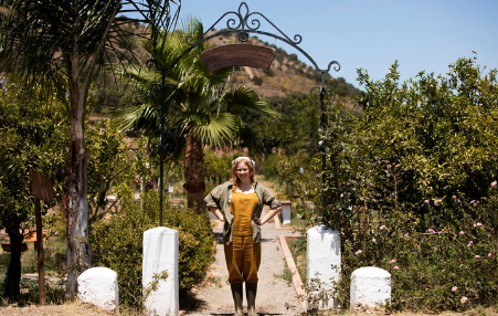 Beit Bart: Unveiling the Meaning – From Historical Estates to Modern Israeli Culture Beit Bart